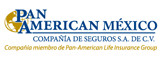 logo_panAmerican